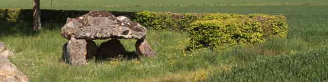 Dolmen en plaine campagne à Saint-Hilaire-la-Gravelle