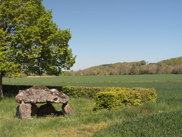 Dolmen en plaine campagne à Saint-Hilaire-la-Gravelle