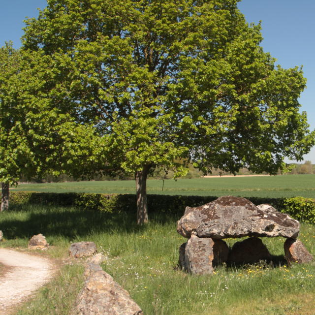 Dolmen en plaine campagne à Saint-Hilaire-la-Gravelle