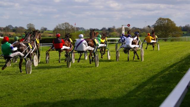 Course de chevaux avec sulky Hippodrome