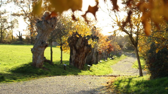 Maison Botanique - Chemin des Trognes