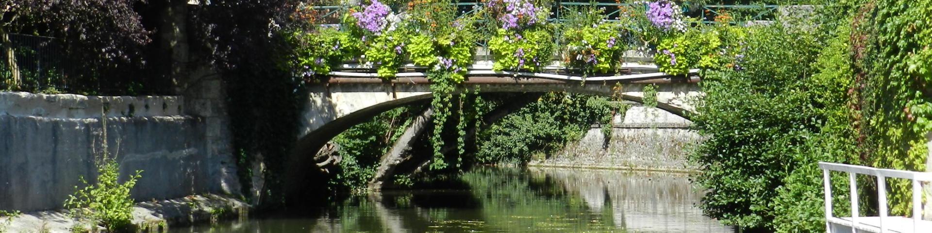 Le Loir