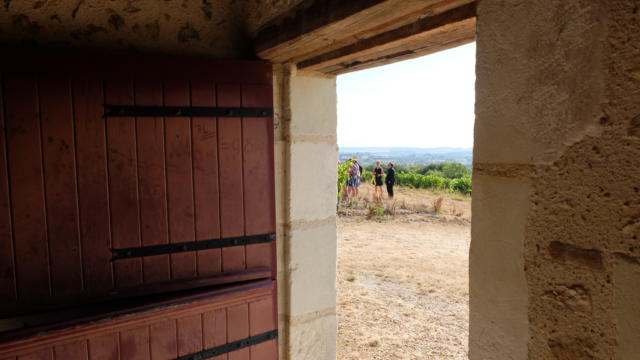 Vignoble de la pente des Coutis à Vendôme