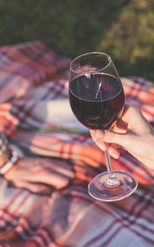 Pique Nique dans l'herbe sur une nappe à carreaux