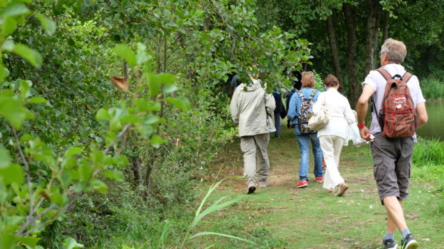 Randonnée pédestre-étang de Boisvinet dans le Perche Vendômois