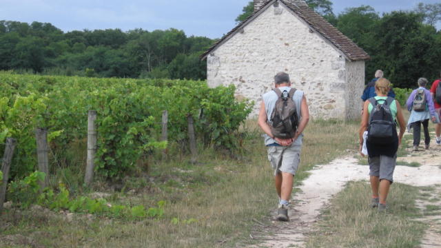 Randonnée dans les vignes à Thoré-La-Rochette