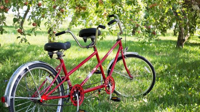 Tandem sous des pommiers en Vallée du Loir