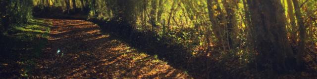 Les 3 chemins Maison Botanique de Boursay