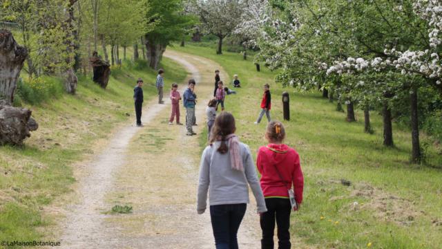 Enfants sur le chemin des Trognes à la Maison Botanique de Boursay