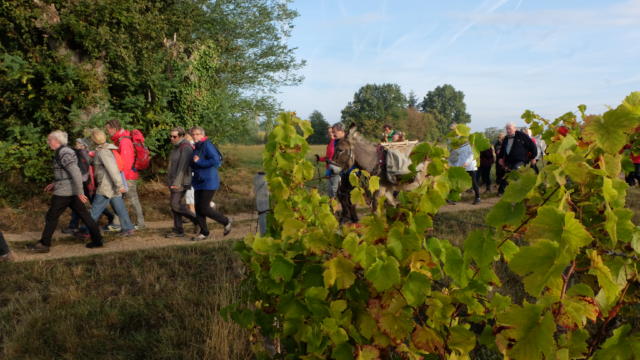 randonnée pédestre en Vendômois-chemin de Compostelle