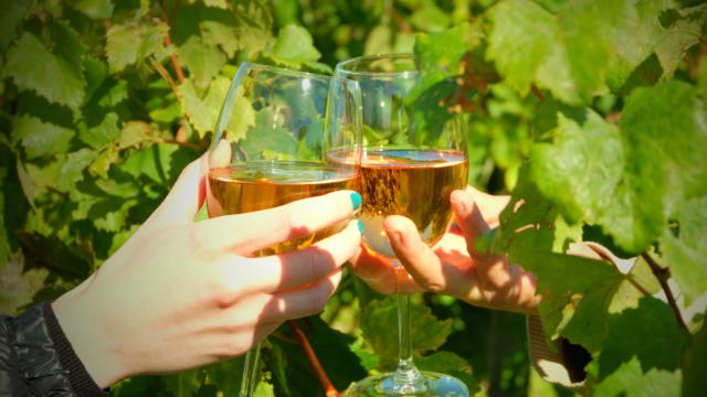 Mise en scène, deux verres de vin parmis des feuilles de vignes