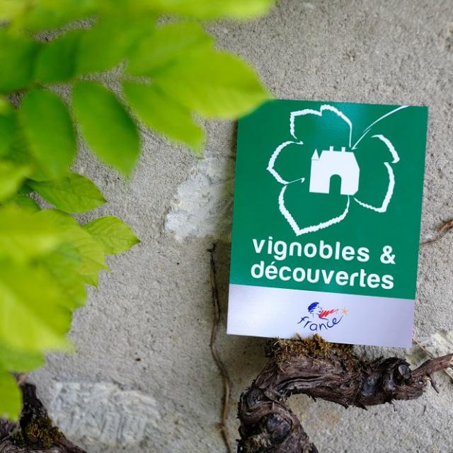 Vignobles Et Decouvertes 