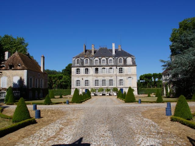 chateau-de-meslay-m-de-boisfleury-le-28-06-2015-004.jpg