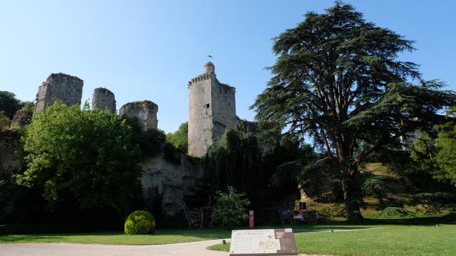 Parc Château De Vendôme 2018 [c. Gontier Vendôme Tourisme] (3)