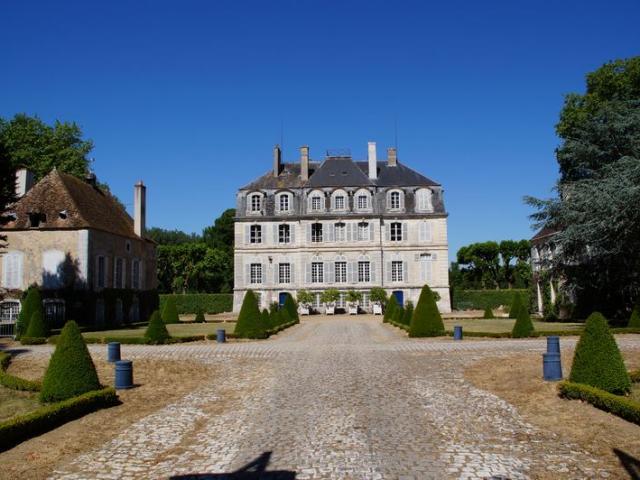 Bd Chateau De Meslay M. De Boisfleury Le 28 06 2015 004