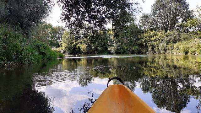 balade-en-canoe-le-loirelodiepleuvry-23.jpg