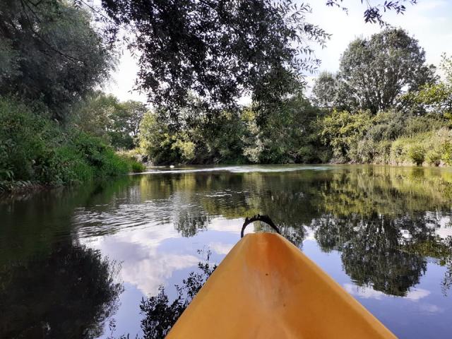 balade-en-canoe-le-loirelodiepleuvry-23.jpg