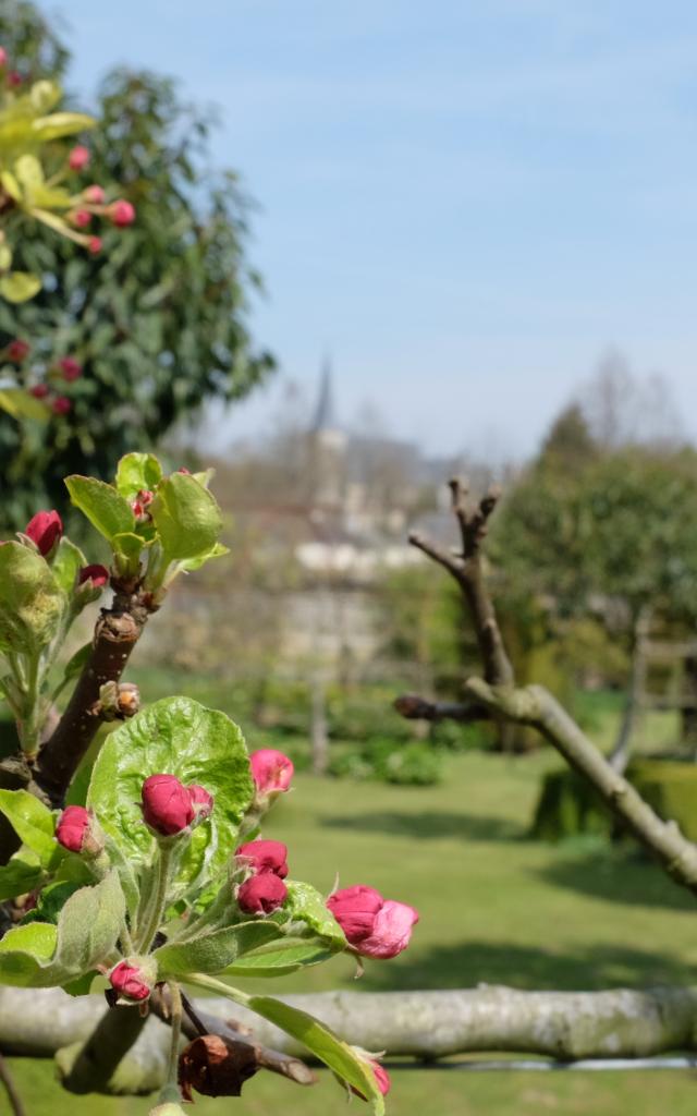 Jardin Du Plessis Sasnières