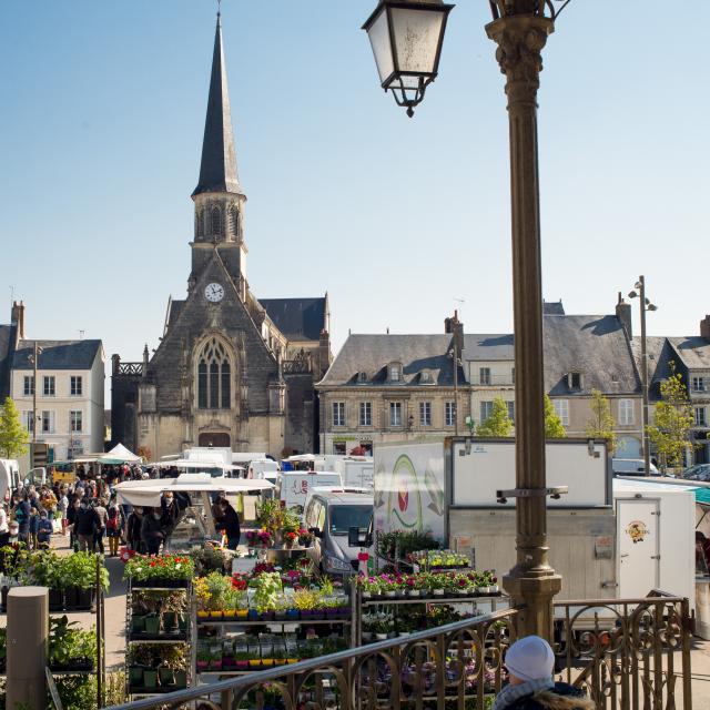 Etales au marché de Montoire-sur-le Loir