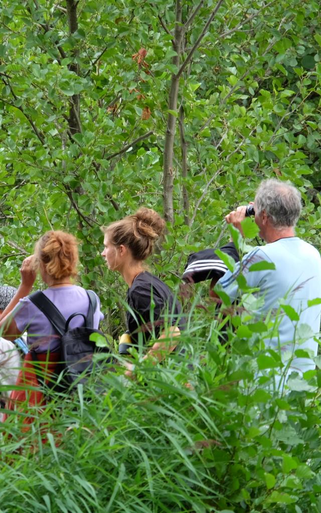 Groupe qui se balade à pied dans la nature