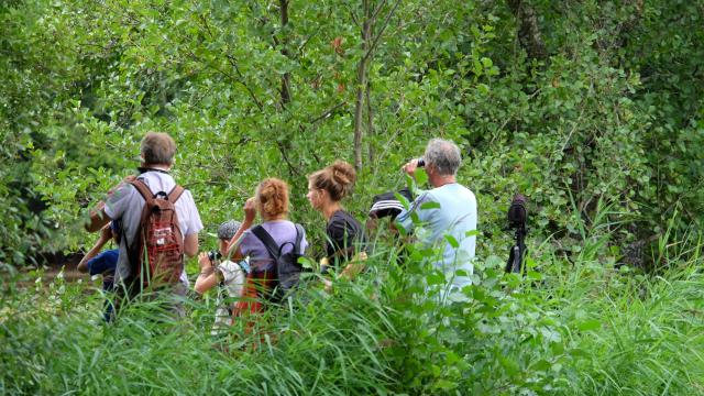 Groupe qui se balade à pied dans la nature