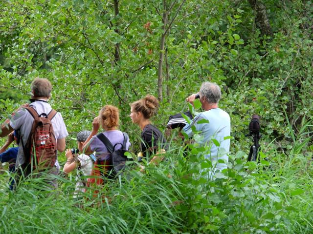 Groupe qui se balade à pied dans la nature