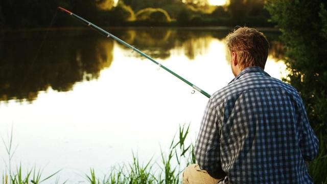 Un pécheur de dos pêche dans un étang