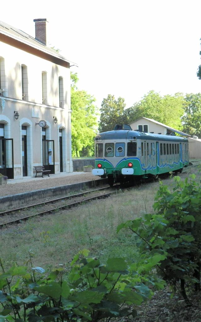 Train touristique derrière une gare