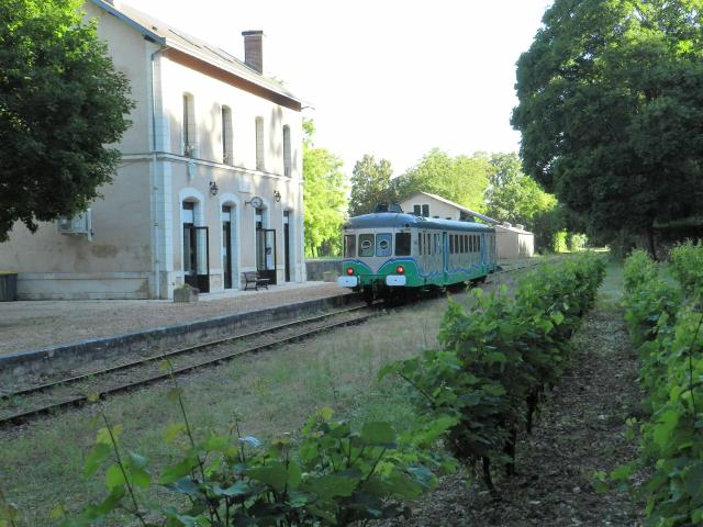 Train touristique derrière une gare