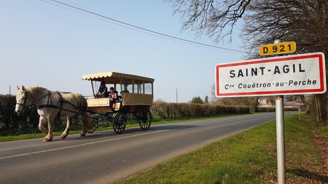 Balade en calèche