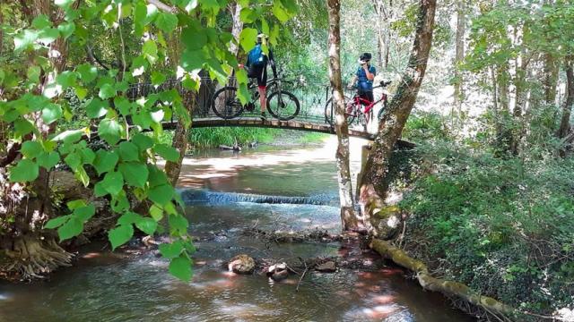 Cyclistes en forêt avec VTT