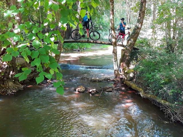 Cyclistes en forêt avec VTT