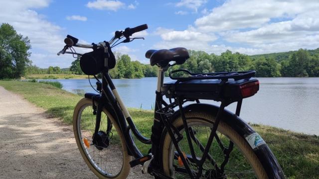 Vélo au bord d'un étang