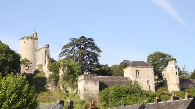 château des Bourbon Vendôme