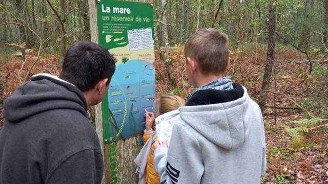 Enfant et papa dans les bois