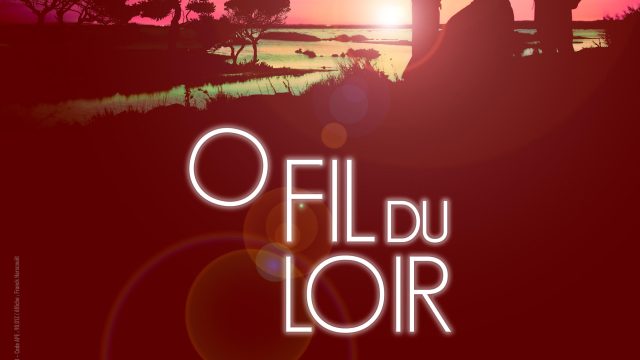 Affiche Festival o Fil du Loir