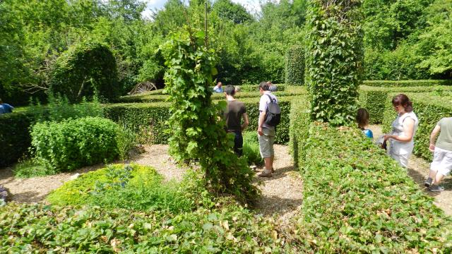 Jardin verdoyant avec visiteurs