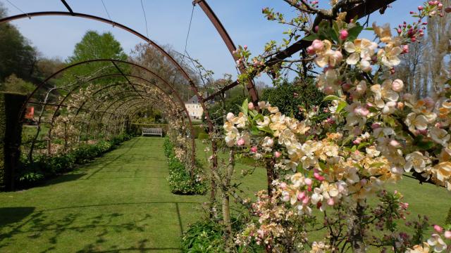 Jolies fleurs au premier plan sur une arche et bâtisse à l'arrière plan