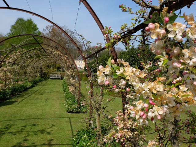 Jolies fleurs au premier plan sur une arche et bâtisse à l'arrière plan