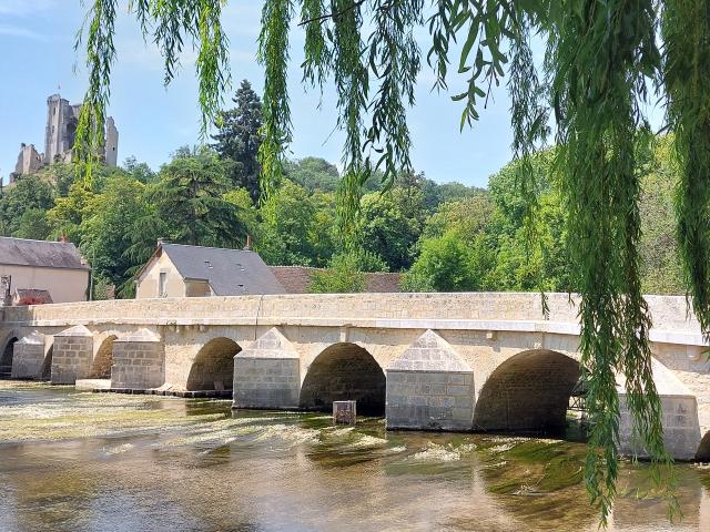 Pont gothique, végétation avec vue sur village, château médiéval