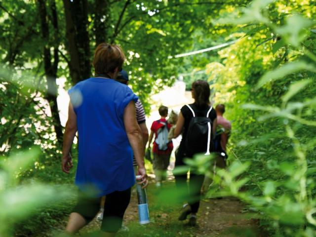 Randonnée pédestre en Vallée du Loir