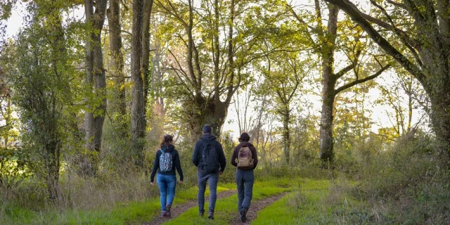 Randonnée pédestre sur le circuit du Vieux Bocage