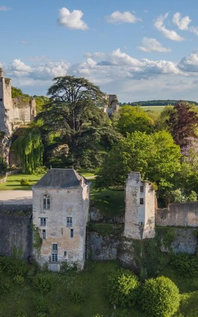 Château De Vendôme