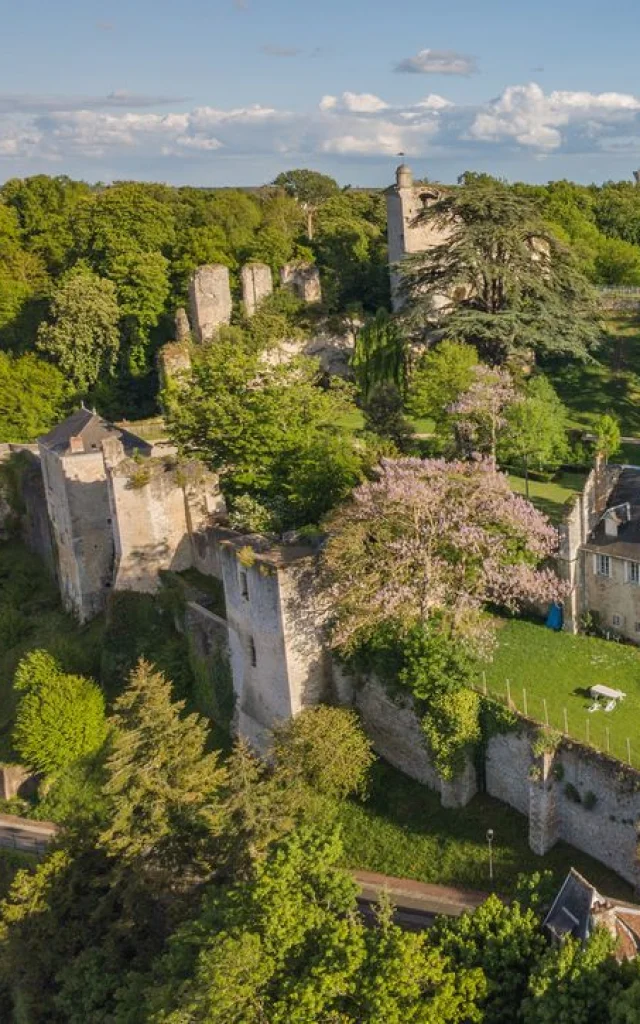 Château De Vendôme