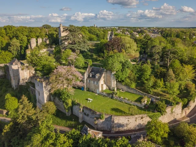 Château De Vendôme