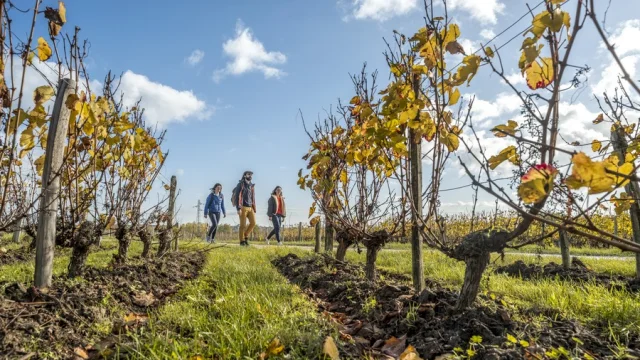 Randonnée pédestre en Vallée du Loir