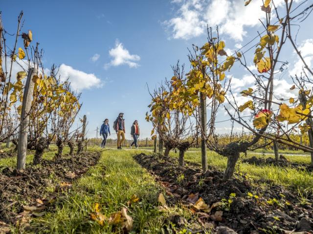 Randonnée pédestre en Vallée du Loir