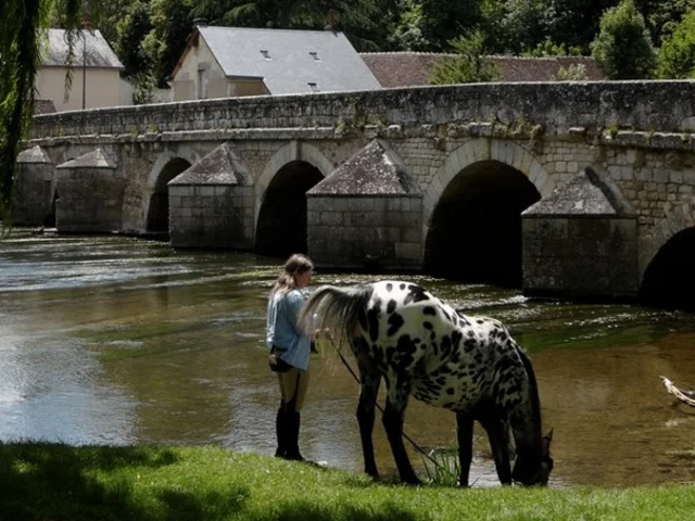 Cheval et sa cavalière au bord d'une rivière et d'un pont ancien avec les restes d'une forteresse en fond