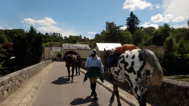 Chevaux et cavaliers sur un pont gothique