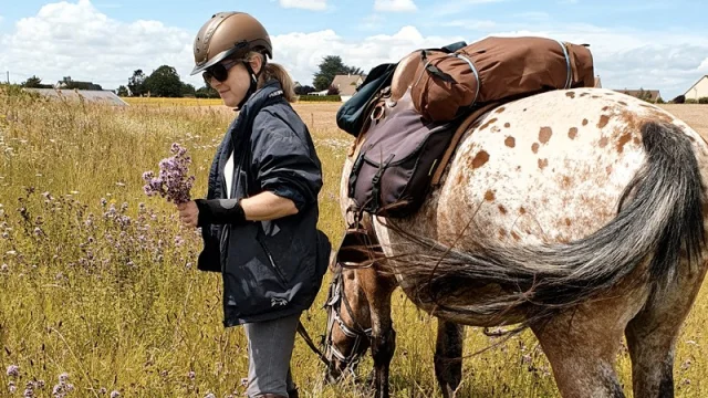 Cheval à côté de sa cavalière avec des fleurs dans la main